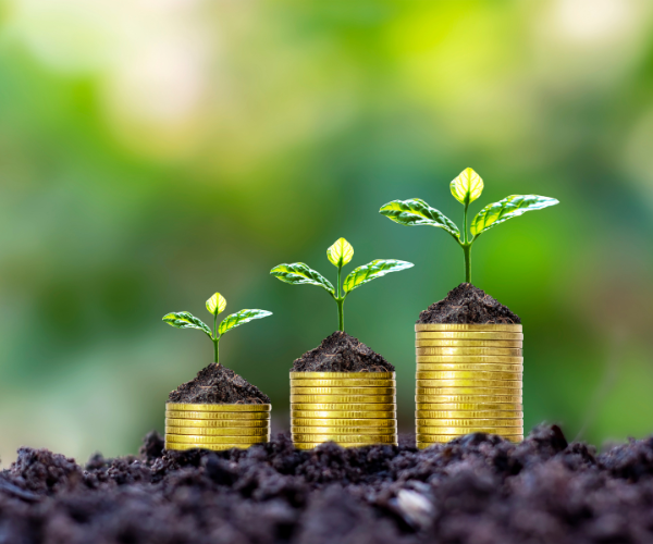 financial stability